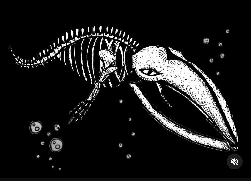 Blue whale skeleton in deep black water with a few bubbles rising nearby.