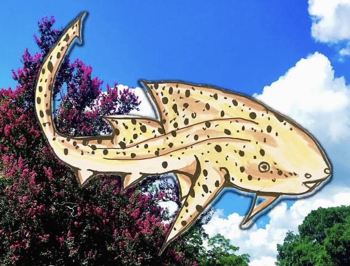 Leopard Shark swimming in a sky of clouds and pink flowers.