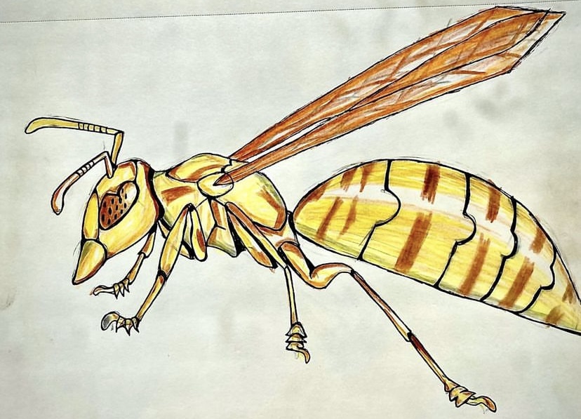 Bright yellow and orange wasp.