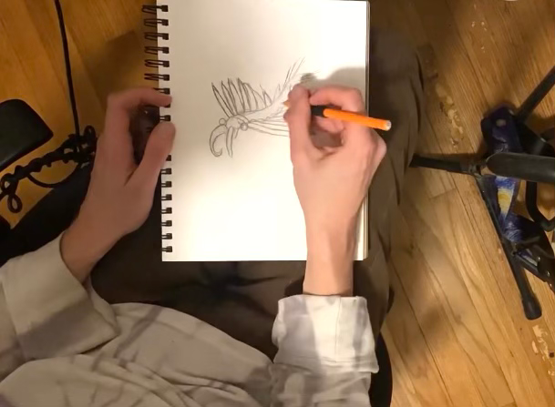 Ross Crow's hands sketching an ancient animal.